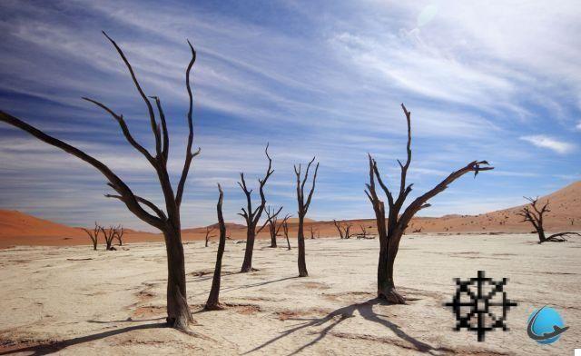 Namibia: ideal trip for a total change of scenery