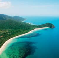 Daintree, Cape Tribulation and Mossman Gorge 4WD Tour from Cairns