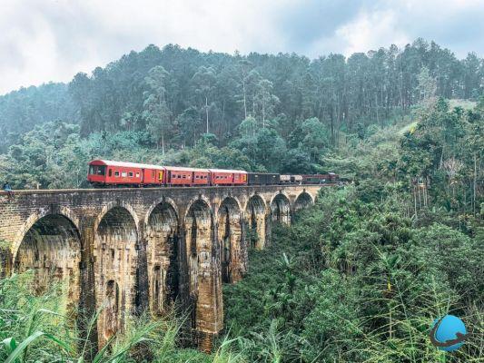 Sri Lanka: the practical guide to visit the country serenely