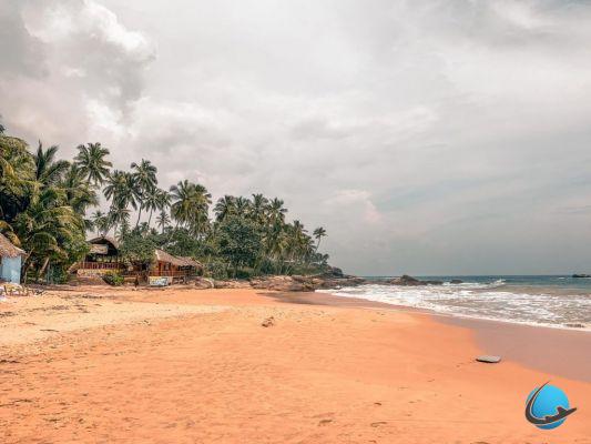 Sri Lanka: la guía práctica para visitar el país con serenidad