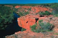 Five Day Dolphin Tour of Monkey Mia, Pinnacles Desert, Kalbarri and Ningaloo Reef from Perth