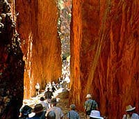 Half-Day Tour of West MacDonnell Ranges with Optional Alice Springs Desert Park