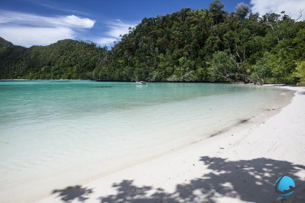 Papúa Nueva Guinea: un país lleno de sorpresas