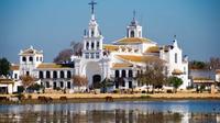 Full-Day Tour to Doñana Natural Park from Seville