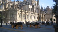 Tour combinato di 3 ore alla Cattedrale di Siviglia e all'Alcazar con biglietto saltafila