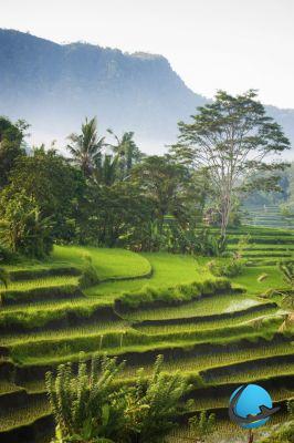 5 boas razões para fazer uma viagem à Indonésia