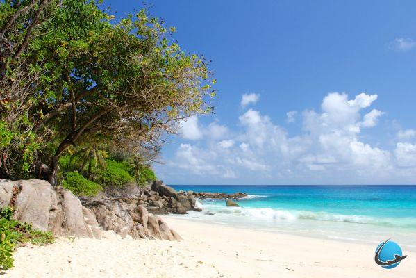 ¿Por qué visitar las Seychelles? Bienvenido al paraiso !