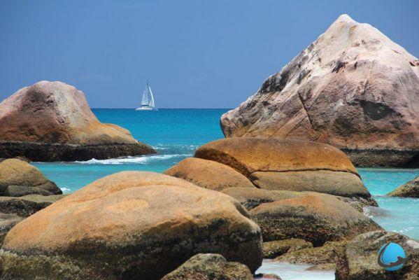 ¿Por qué visitar las Seychelles? Bienvenido al paraiso !