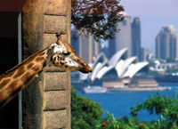 Biglietto pubblico per lo zoo di Sydney Taronga