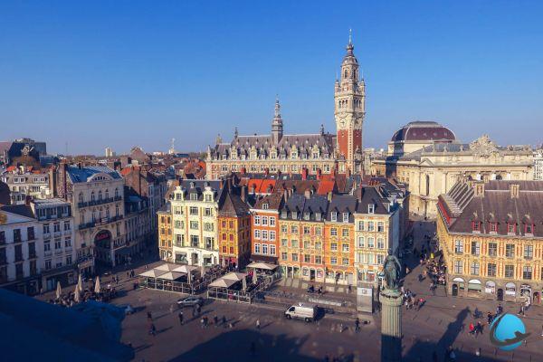 What to see and do in Lille? 10 visits not to be missed!