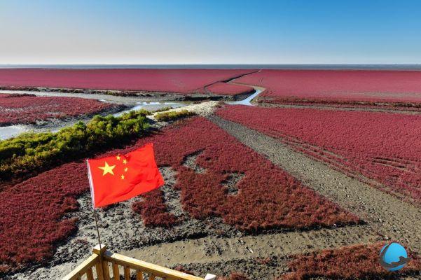 Panjin: the astonishing red beach “made in China”
