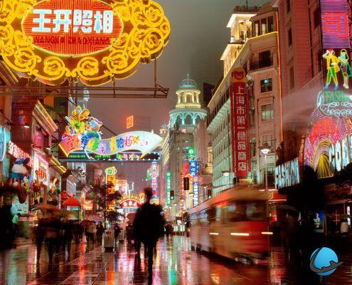 A glimpse of Shanghai: a journey into the future