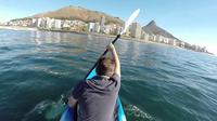 Tour privado en kayak de mar y Cape Point desde Ciudad del Cabo