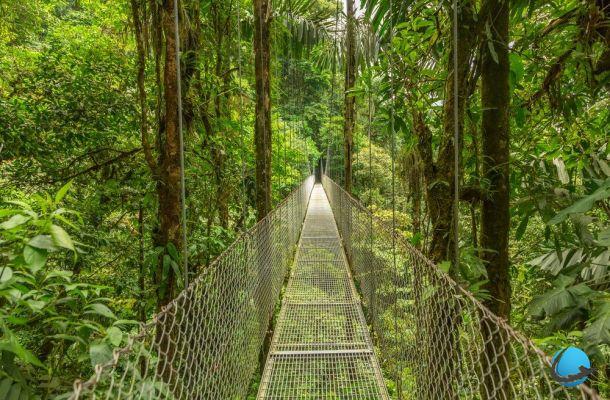 Costa Rica: 5 must-see things
