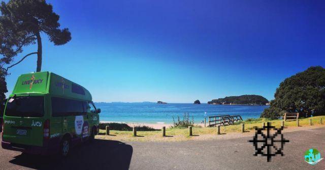 Road trip en Nueva Zelanda: Itinerarios, alquiler de furgonetas, trámites