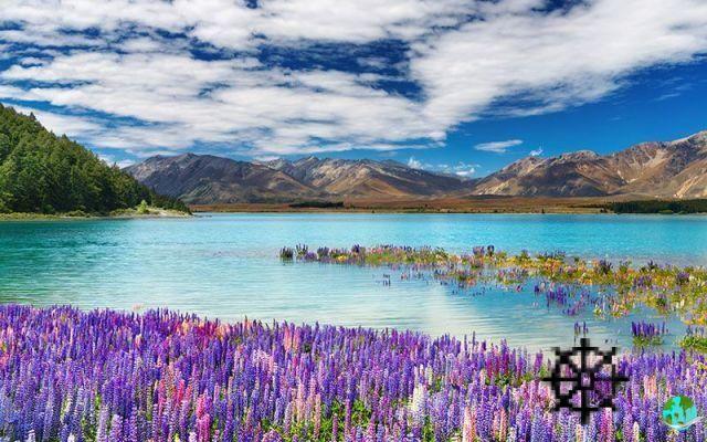 Road trip in New Zealand: Itineraries, van rental, formalities