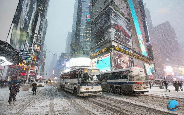 The best photos of the snowstorm in New York