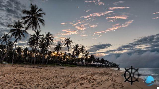 Nos vemos en el paraíso: ¿por qué ir a República Dominicana?