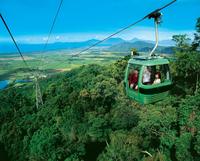Small-Group Day Tour to Kuranda, Skyrail Cable Car and Scenic Train from Port Douglas