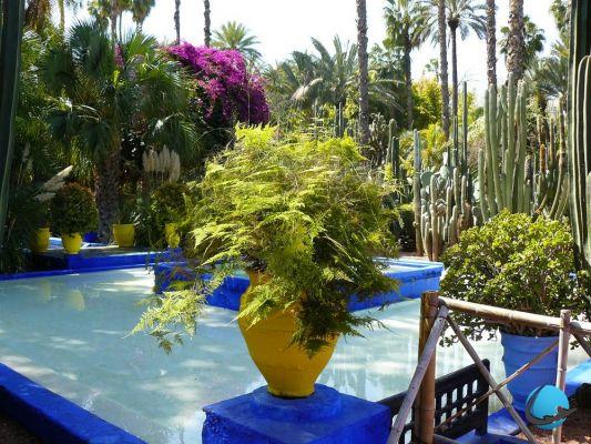 Marrakech: 10 affascinanti foto del giardino Majorelle
