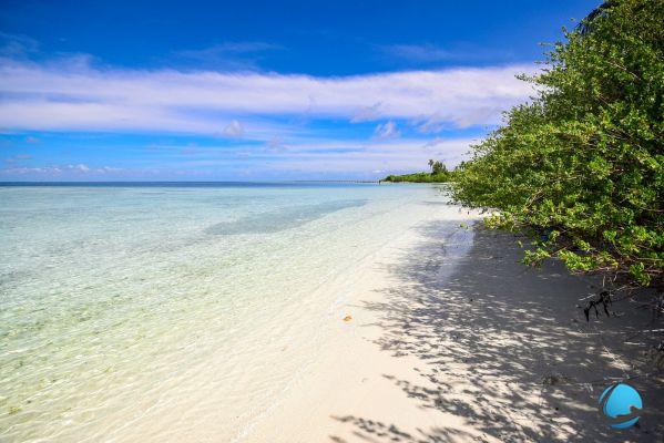 ¿Por qué ir a las Islas Salomón? Viaje de ensueño definitivo