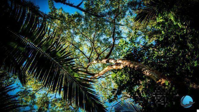 Perché andare alle Isole Salomone? Ultimo viaggio da sogno