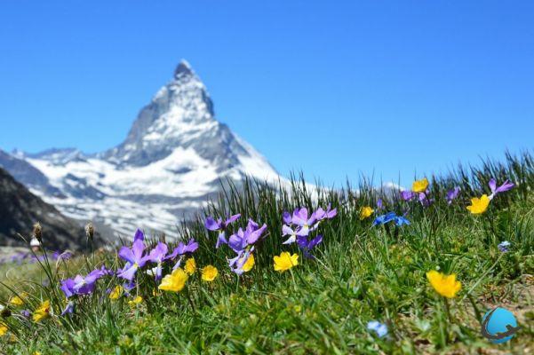 Os Alpes suíços: 6 lugares imperdíveis para uma escapadela de verão