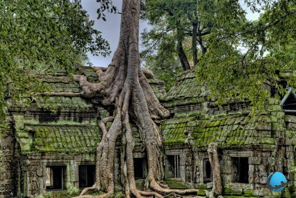 Perché andare in Cambogia? Viaggio nel cuore dell'affascinante Asia...