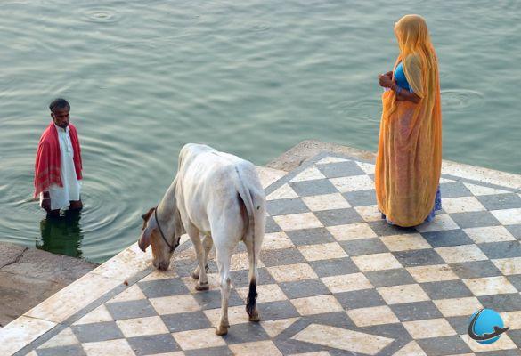 Descubre la India en 30 fotos
