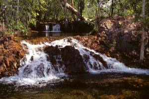 Parque Nacional de Litchfield: cachoeiras e cupinzeiros