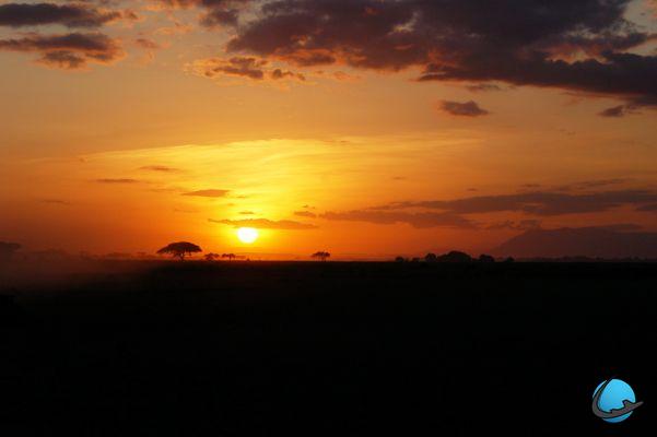 Safári fotográfico no Quênia em 30 fotos