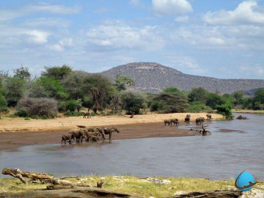Safari fotográfico en Kenia en 30 tomas