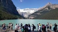 Tour del Parque Nacional Banff con un grupo pequeño