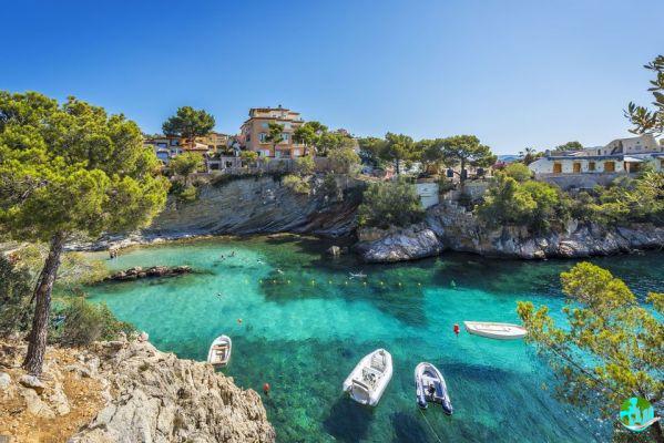 Catamaran excursion in Mallorca: Info and practical advice