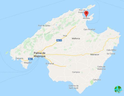 Escursione in catamarano a Maiorca: Info e consigli pratici