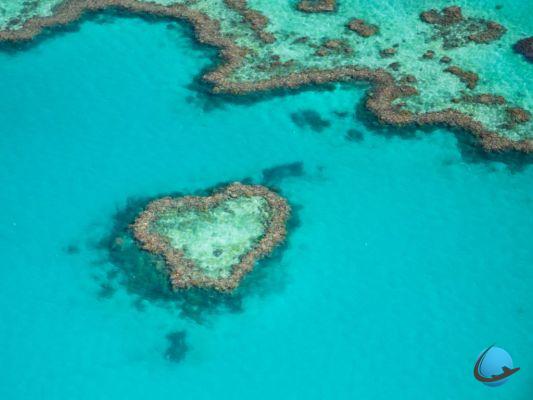 Los 6 lugares más hermosos para ver la naturaleza en Australia