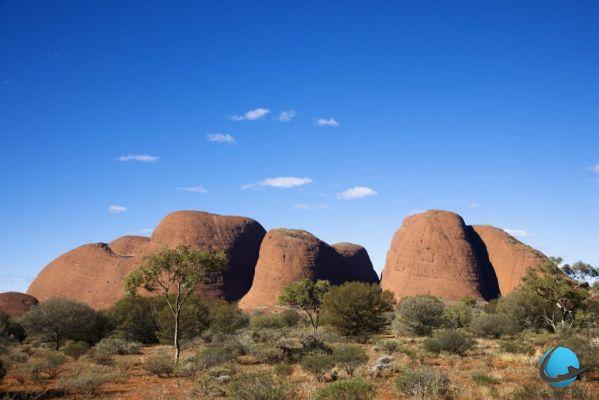 I 6 posti più belli per vedere la natura in Australia
