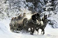 Christmas sleigh ride from Salzburg