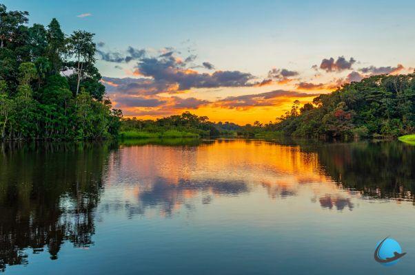 Going to visit Guyana: our advice for travelers