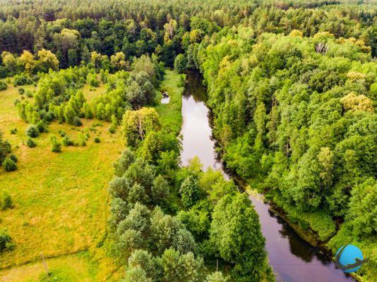 Los 10 parques nacionales más bellos de Polonia