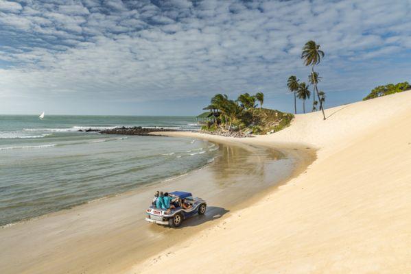 Discover Brazil in Buggy