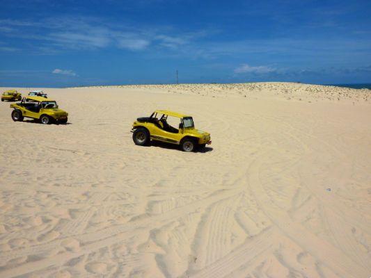 Discover Brazil in Buggy