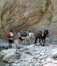 Excursão de dia inteiro ao desfiladeiro de Samaria
