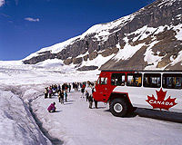 Tour del Columbia Icefield da Jasper