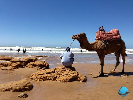 Marocco: 5 buoni motivi per visitare Agadir