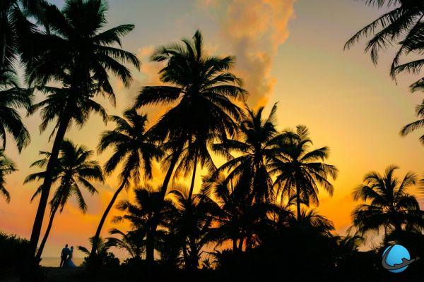Por que ir para as Ilhas Maurício? Areia dourada e coqueiros!