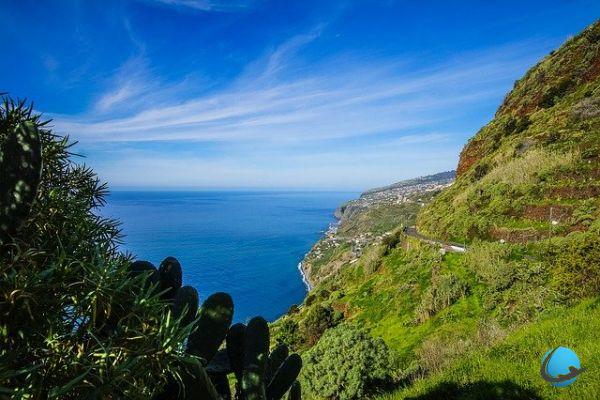 ¿Por qué visitar Madeira? ¡Embárcate en un viaje lleno de sorpresas!