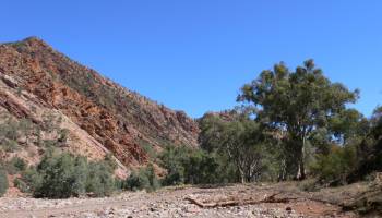 Parco nazionale dei Flinders Ranges (1/2)