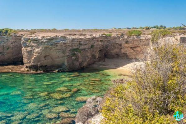 Visit Syracuse in Sicily: What to see and what to do?