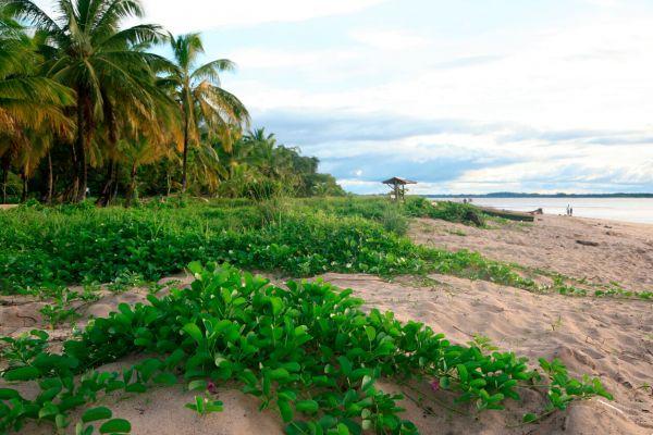 Climate in French Guiana: when to travel according to the weather?